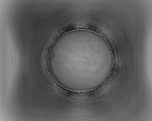X0000113910817200909241507