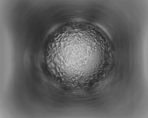 X0000113910823200909241508