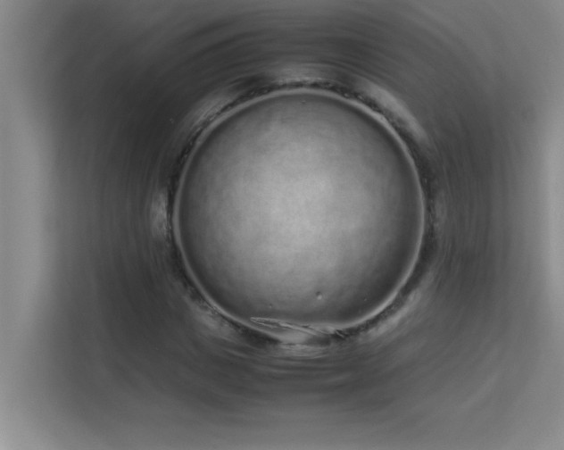 X0000113910825200909241508