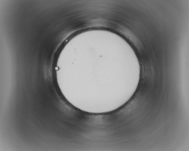 X0000113910828200909241508