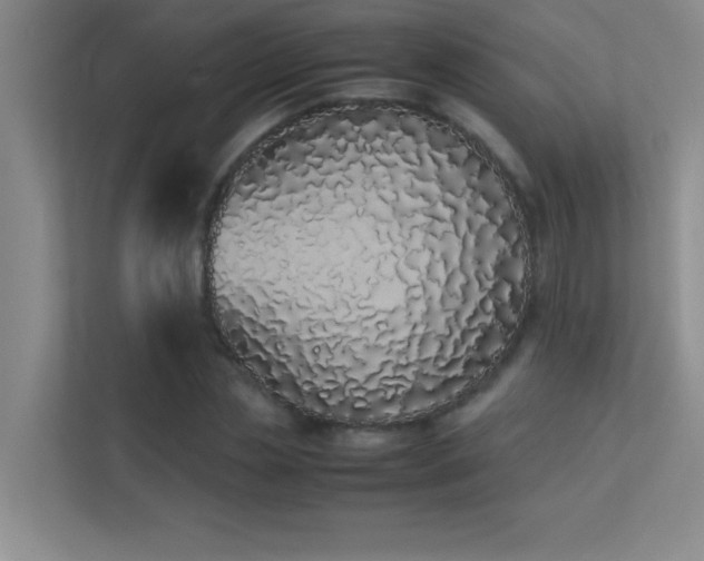 X0000113910829200909241508