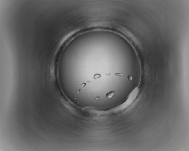 X0000113910830200909241508