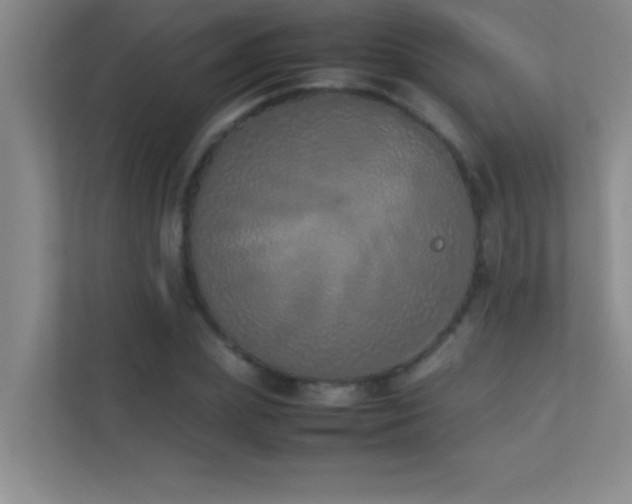 X0000113910831200909241508