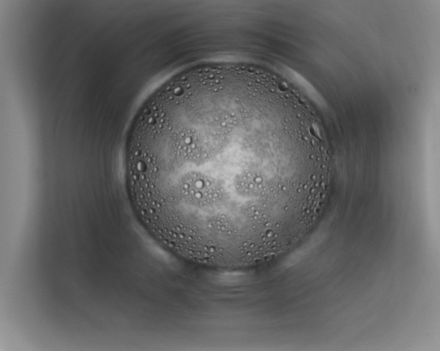 X0000113910839200909241508