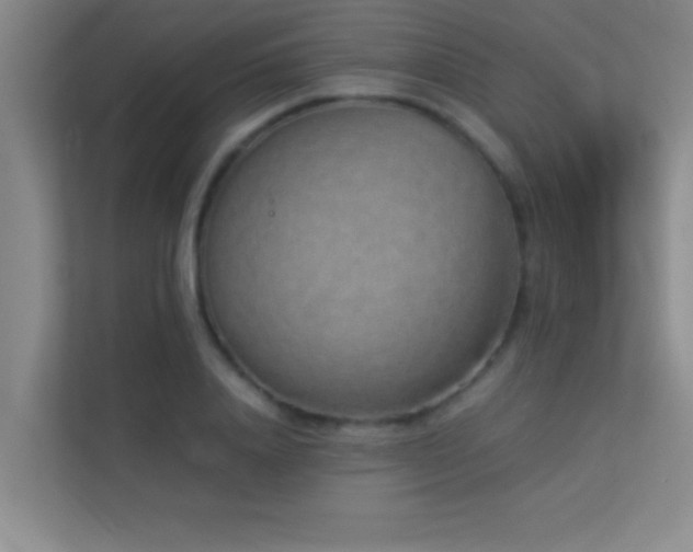 X0000113910840200909241508