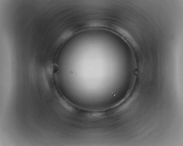 X0000113910841200909241508