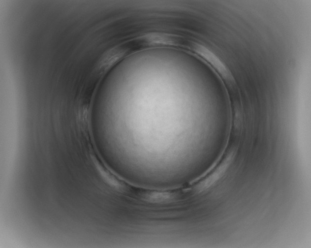 X0000113910849200909241508