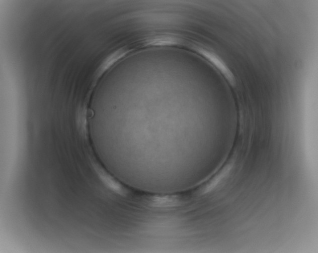 X0000113910850200909241508