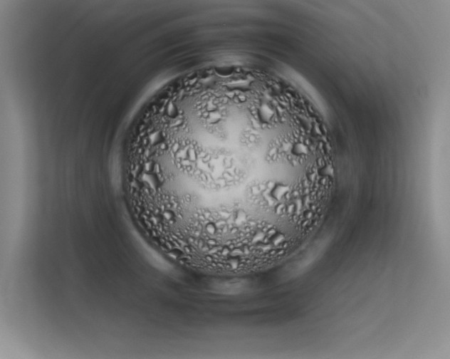 X0000113910851200909241508