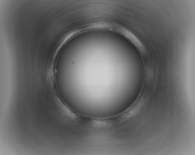 X0000113910852200909241508
