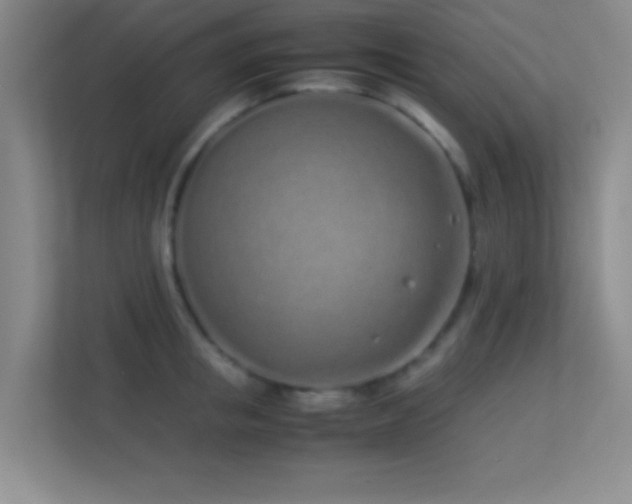 X0000113910853200909241508