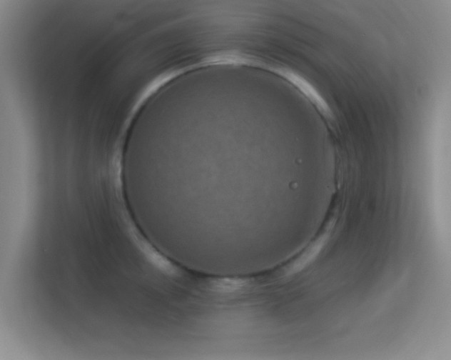 X0000113910854200909241508