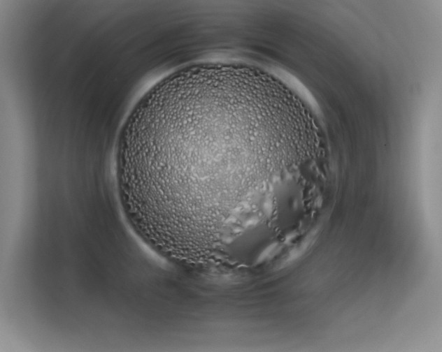 X0000113910855200909241508