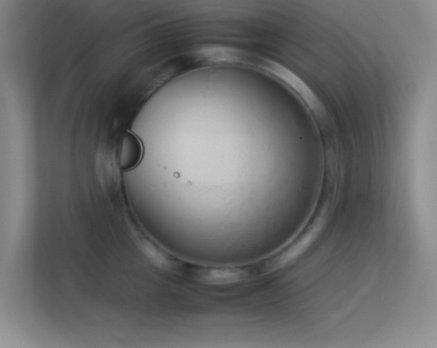 X0000113910857200909241508