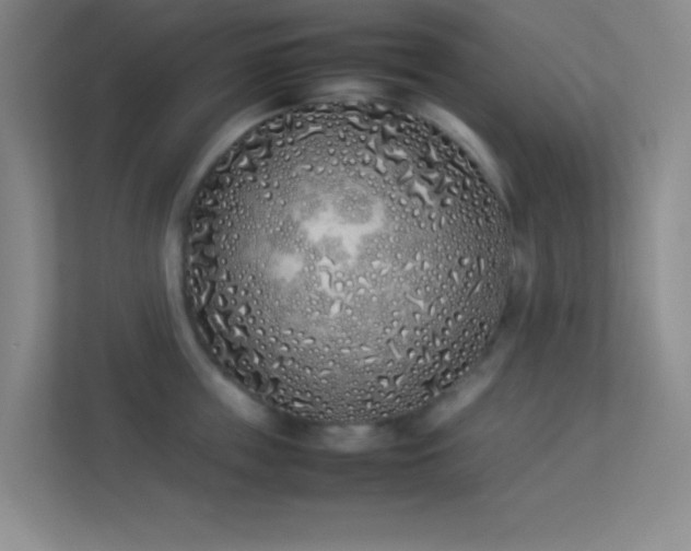 X0000113910859200909241508