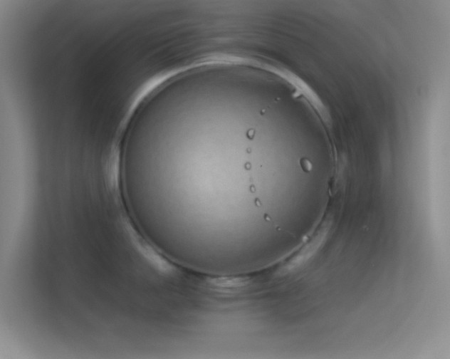 X0000113910862200909241508