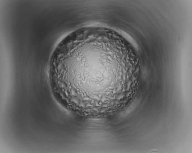 X0000113910863200909241508