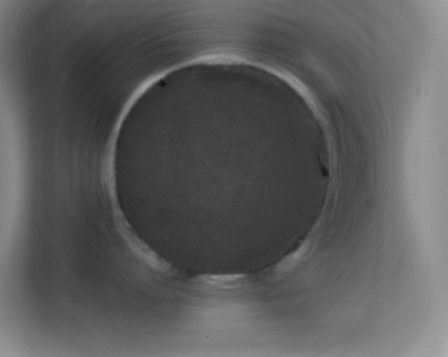 X0000113910864200909241508