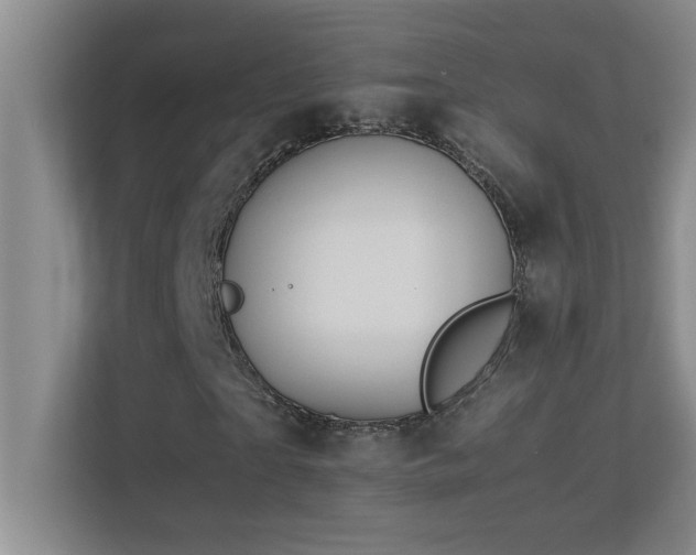 X0000113910865200909241507