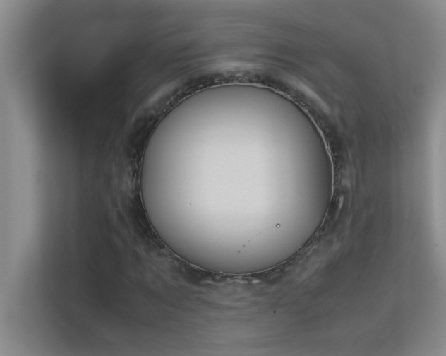 X0000113910869200909241507