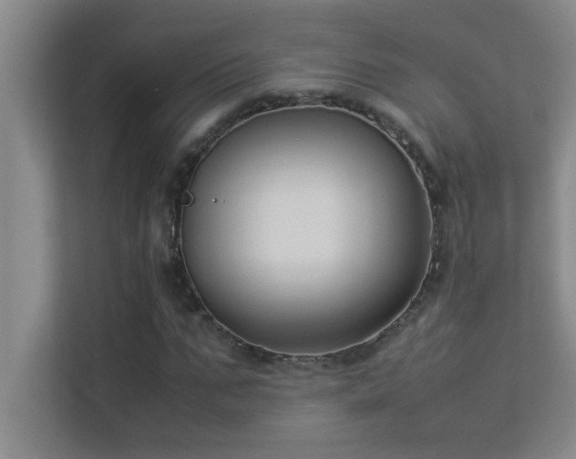 X0000113910871200909241507