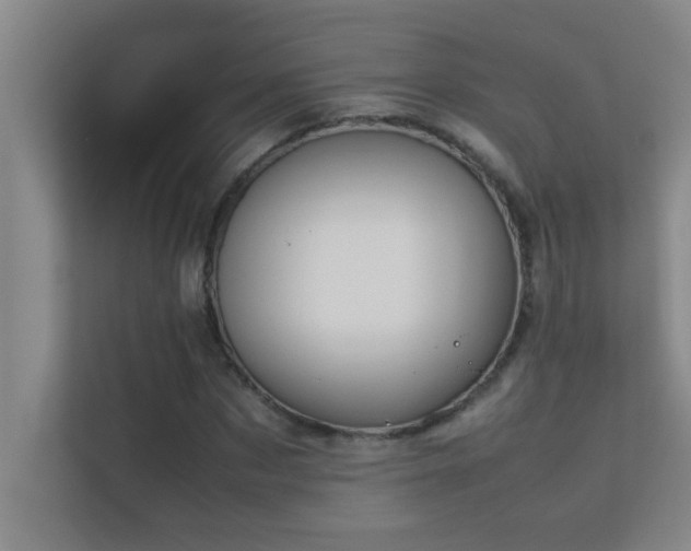 X0000113910873200909241507