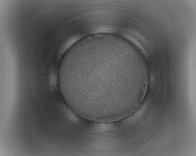 X0000113910874200909241507