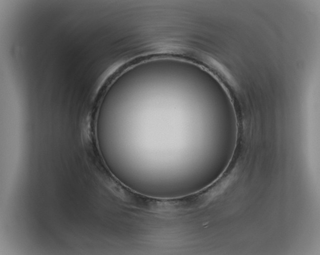 X0000113910875200909241507