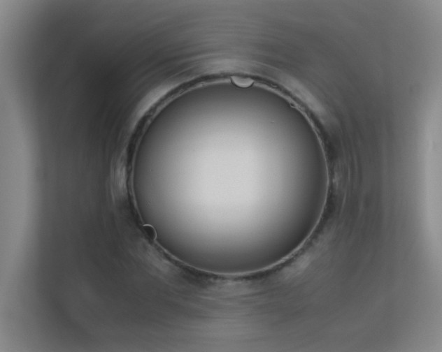 X0000113910877200909241507