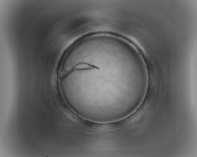 X0000113910879200909241507
