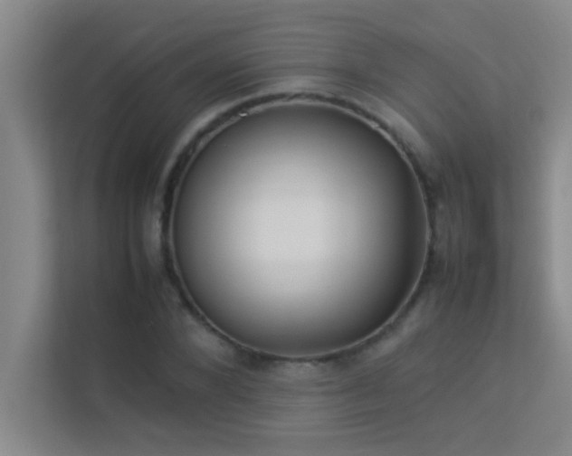 X0000113910880200909241507