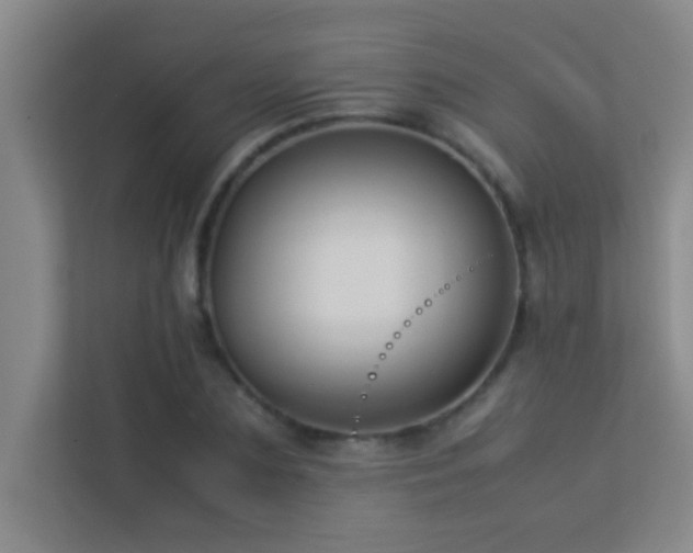 X0000113910883200909241507