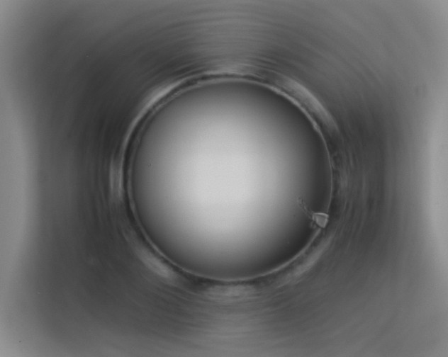 X0000113910884200909241507