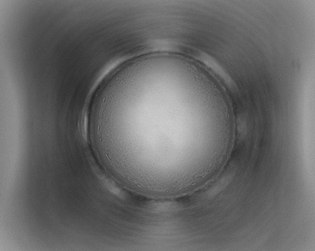 X0000113910886200909241507