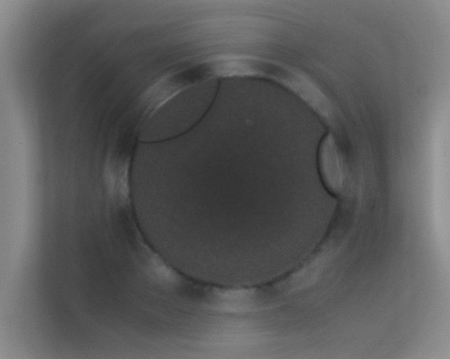 X0000113910889200909241507