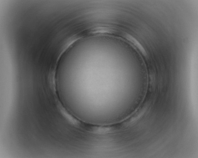 X0000113910890200909241507