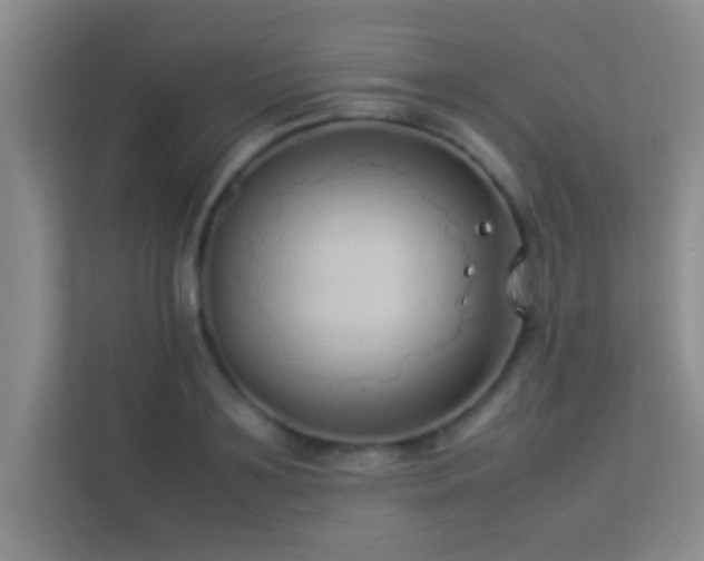 X0000113910891200909241507