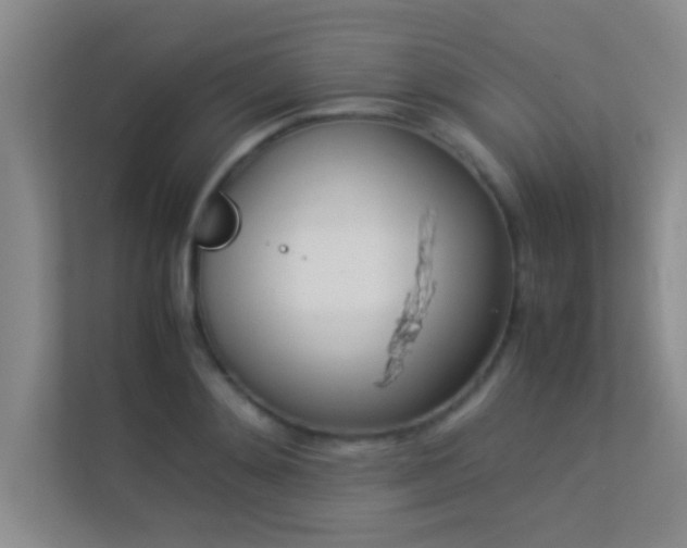 X0000113910892200909241507
