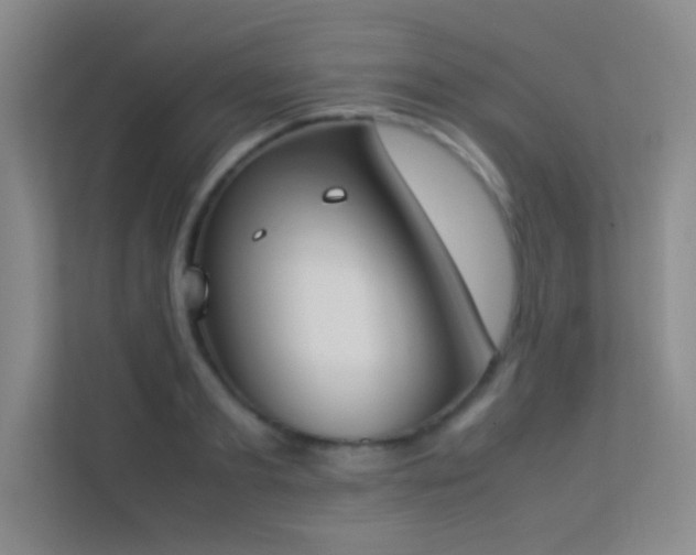 X0000113910893200909241507
