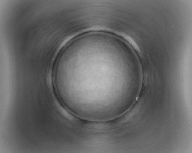 X0000113910895200909241507