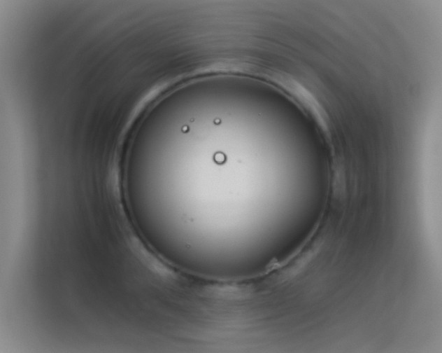 X0000113910896200909241507