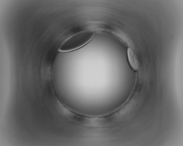 X0000113910897200909241507
