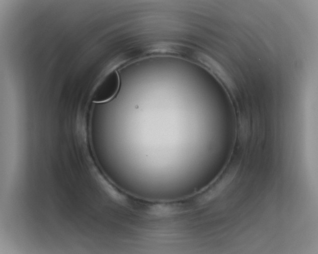 X0000113910898200909241507