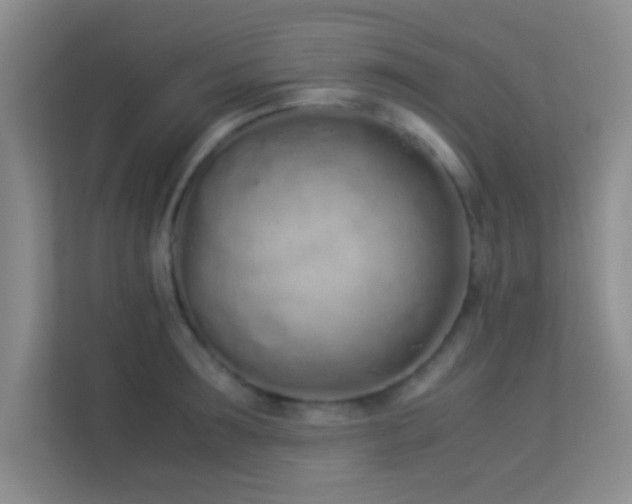 X0000113910899200909241507
