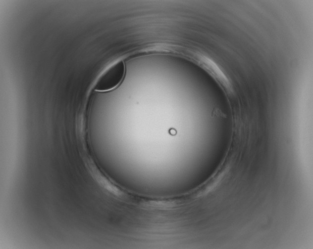 X0000113910900200909241507