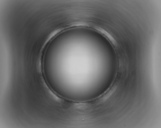 X0000113910902200909241507