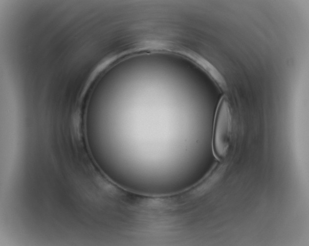 X0000113910904200909241507