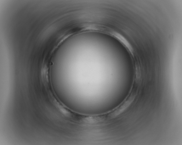 X0000113910906200909241507