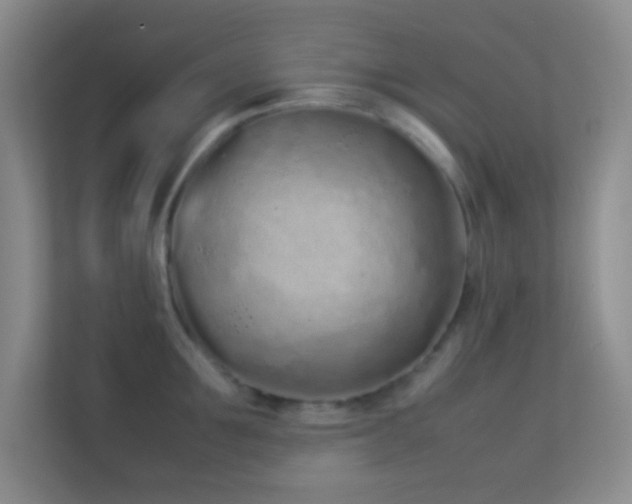 X0000113910907200909241507