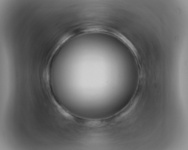 X0000113910909200909241507